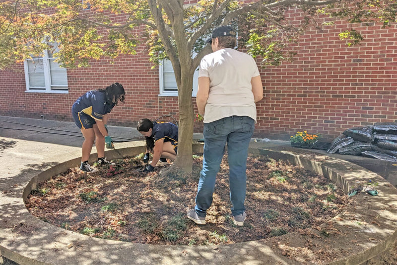 Students clearing tree bed